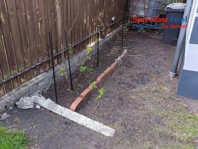 Dom na sprzedaż z małym ogródkiem - 10