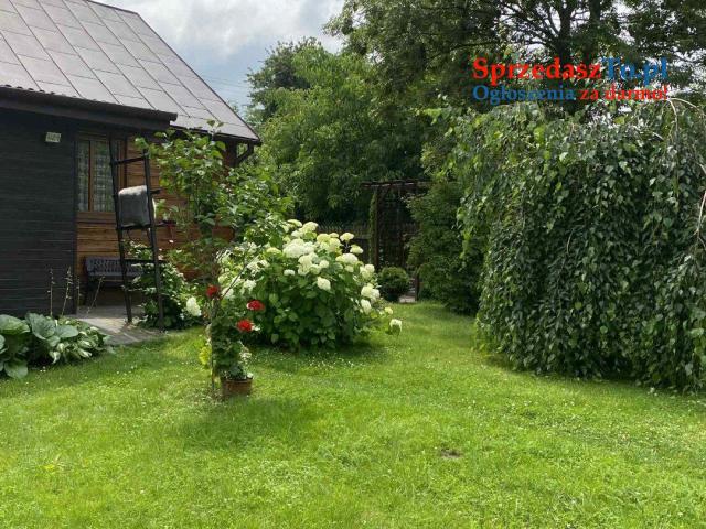 Rudka -Krasnystaw - 6