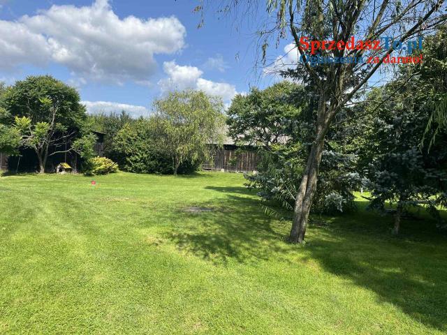 Rudka -Krasnystaw - 8