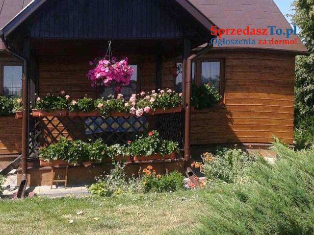 Rudka -Krasnystaw - 9