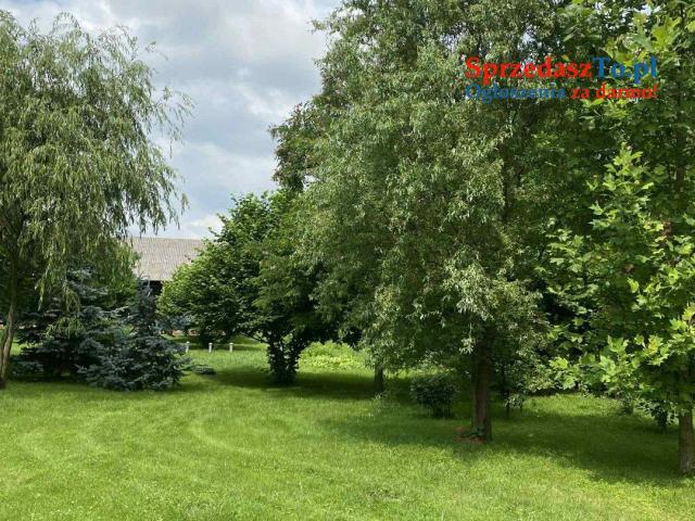 Rudka -Krasnystaw - 11