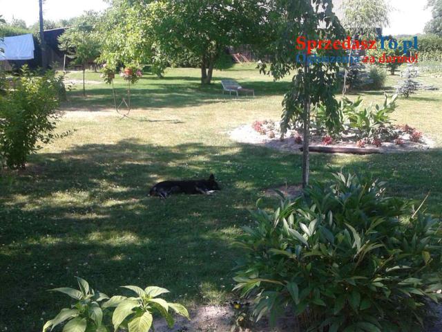 Rudka -Krasnystaw - 15