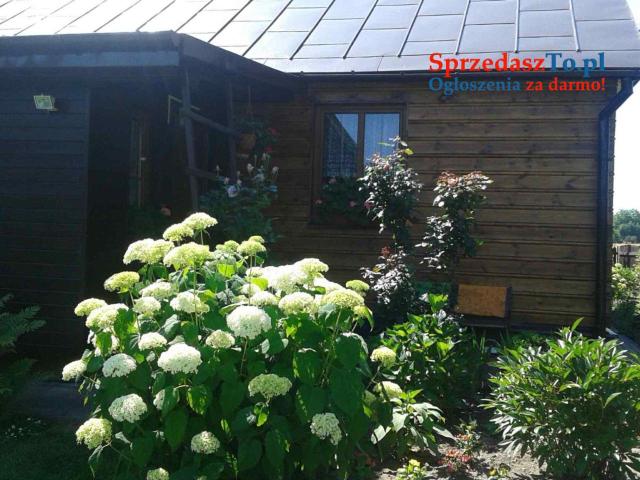 Rudka -Krasnystaw - 16