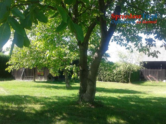 Rudka -Krasnystaw - 17