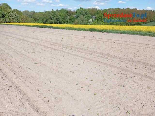 Garbów Centrum-Działka budowlana z MPZP-ok. 642 projektów ARCHON - 6