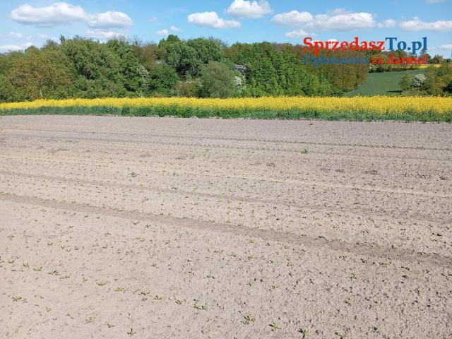 Garbów Centrum-Działka budowlana z MPZP-ok. 642 projektów ARCHON - 7