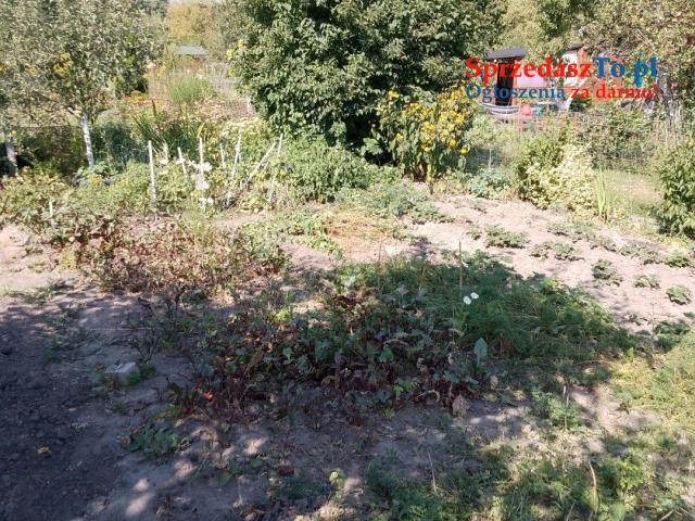 Sprzedam