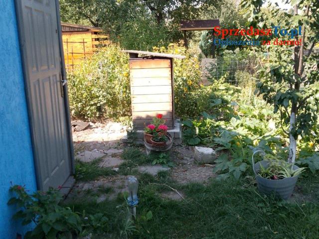 Sprzedam