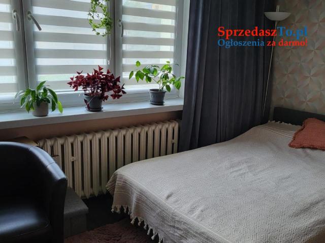 Mieszkanie dwupokojowe Bytom Miechowice parter - 9