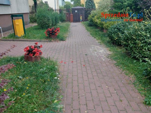 Mieszkanie z garażem, cena do negocjacji - 9