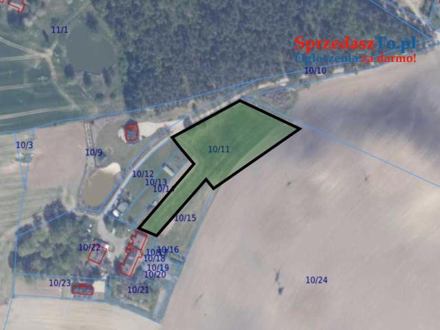 Duża działka 6000 m² w Demlinie – spokój, natura i szybki dojazd do miasta.