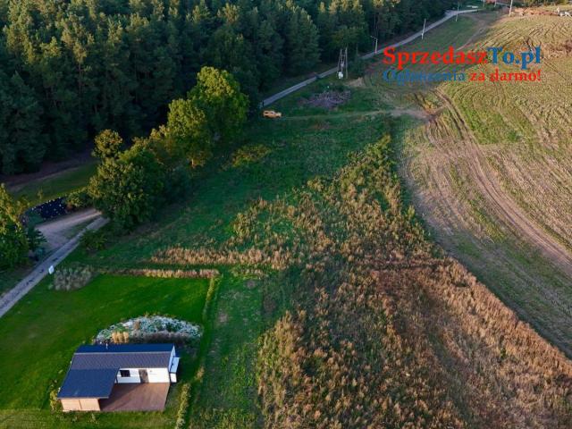 Duża działka 6000 m² w Demlinie – spokój, natura i szybki dojazd do miasta.