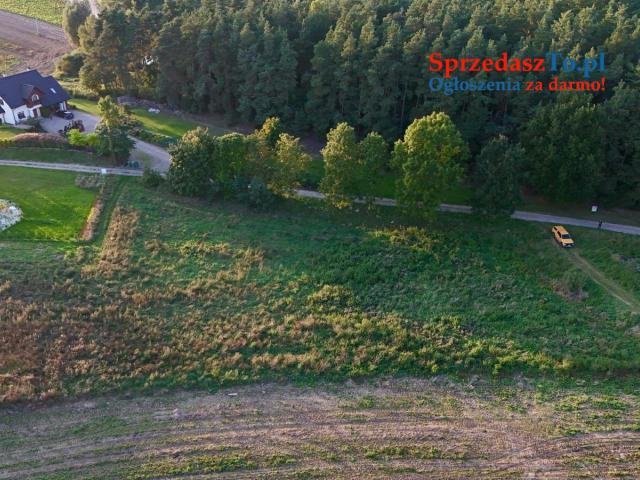 Duża działka 6000 m² w Demlinie – spokój, natura i szybki dojazd do miasta.