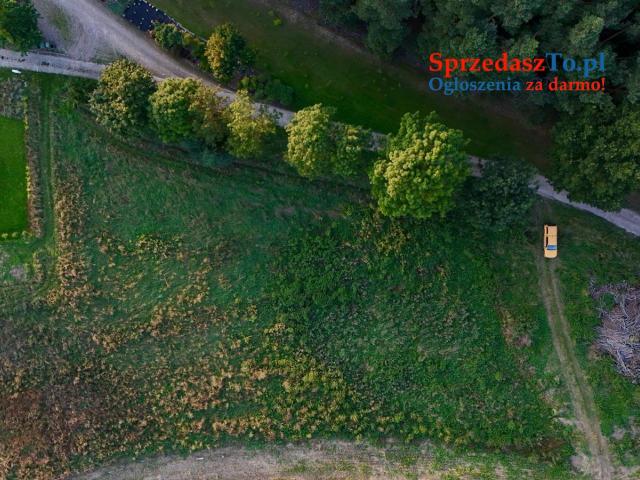 Duża działka 6000 m² w Demlinie – spokój, natura i szybki dojazd do miasta. - 6