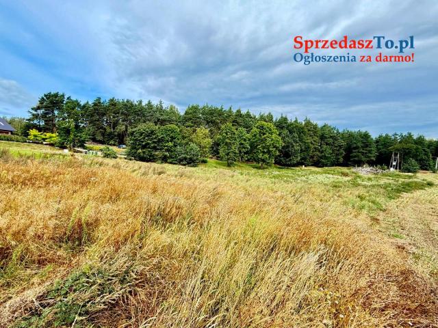 Duża działka 6000 m² w Demlinie – spokój, natura i szybki dojazd do miasta. - 7