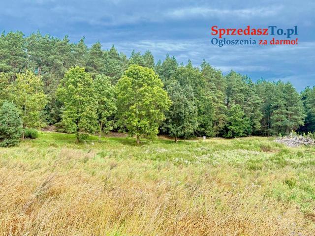 Duża działka 6000 m² w Demlinie – spokój, natura i szybki dojazd do miasta. - 8