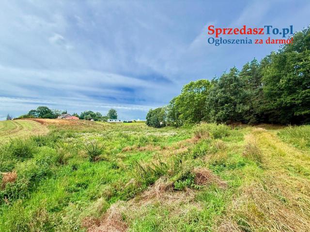 Duża działka 6000 m² w Demlinie – spokój, natura i szybki dojazd do miasta. - 9