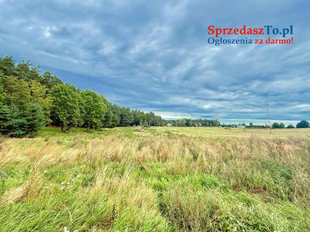 Duża działka 6000 m² w Demlinie – spokój, natura i szybki dojazd do miasta. - 10