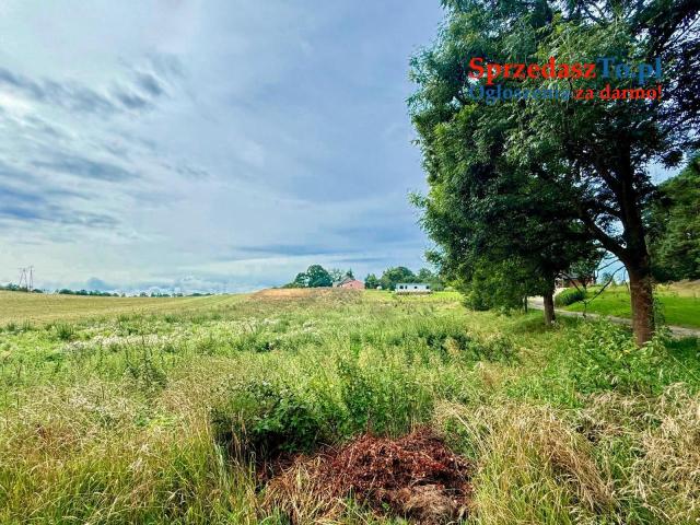 Duża działka 6000 m² w Demlinie – spokój, natura i szybki dojazd do miasta. - 11