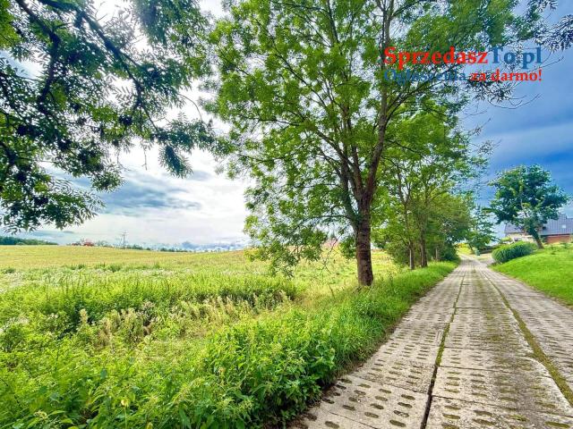 Duża działka 6000 m² w Demlinie – spokój, natura i szybki dojazd do miasta. - 12