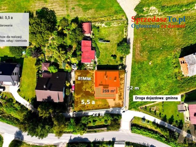 Duży dom na sprzedaż - Biczyce Dolne
