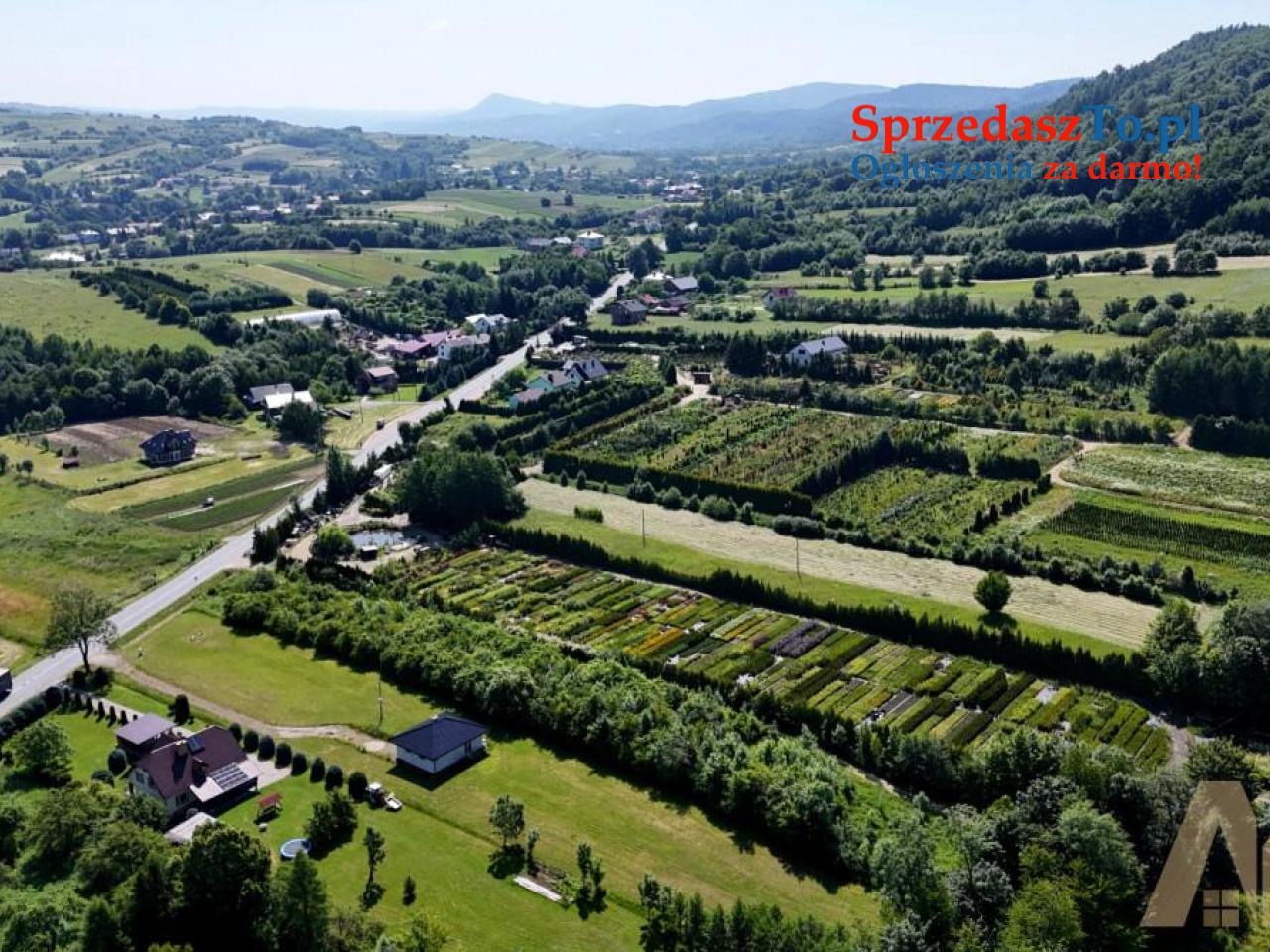 Działka 42 ary - Łysa Góra - 1/5