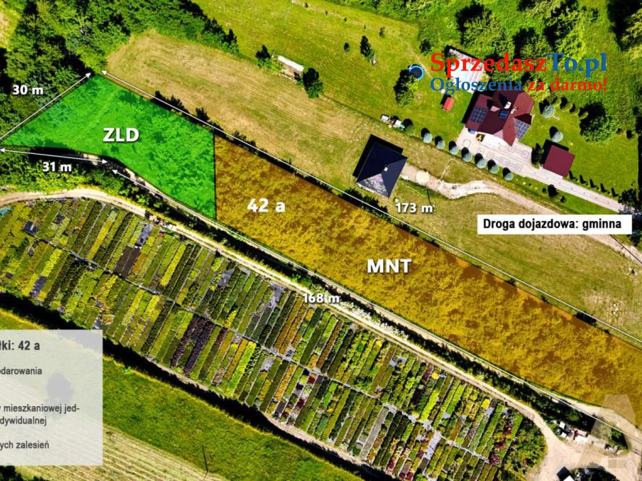 Działka 42 ary - Łysa Góra - 2/5