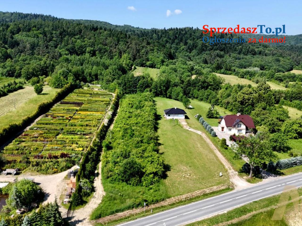 Działka 42 ary - Łysa Góra - 3/5