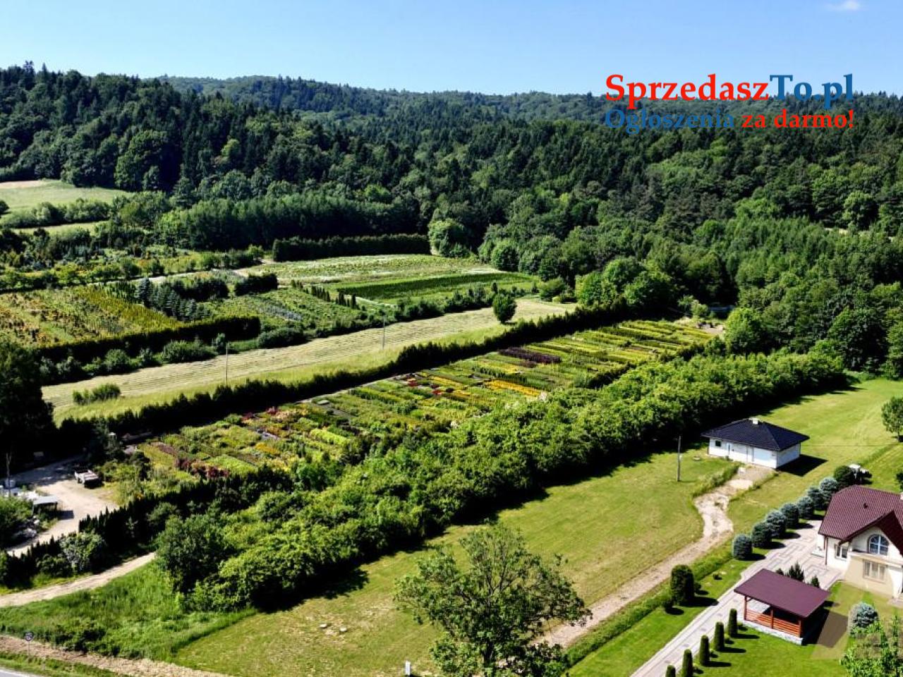 Działka 42 ary - Łysa Góra - 4/5