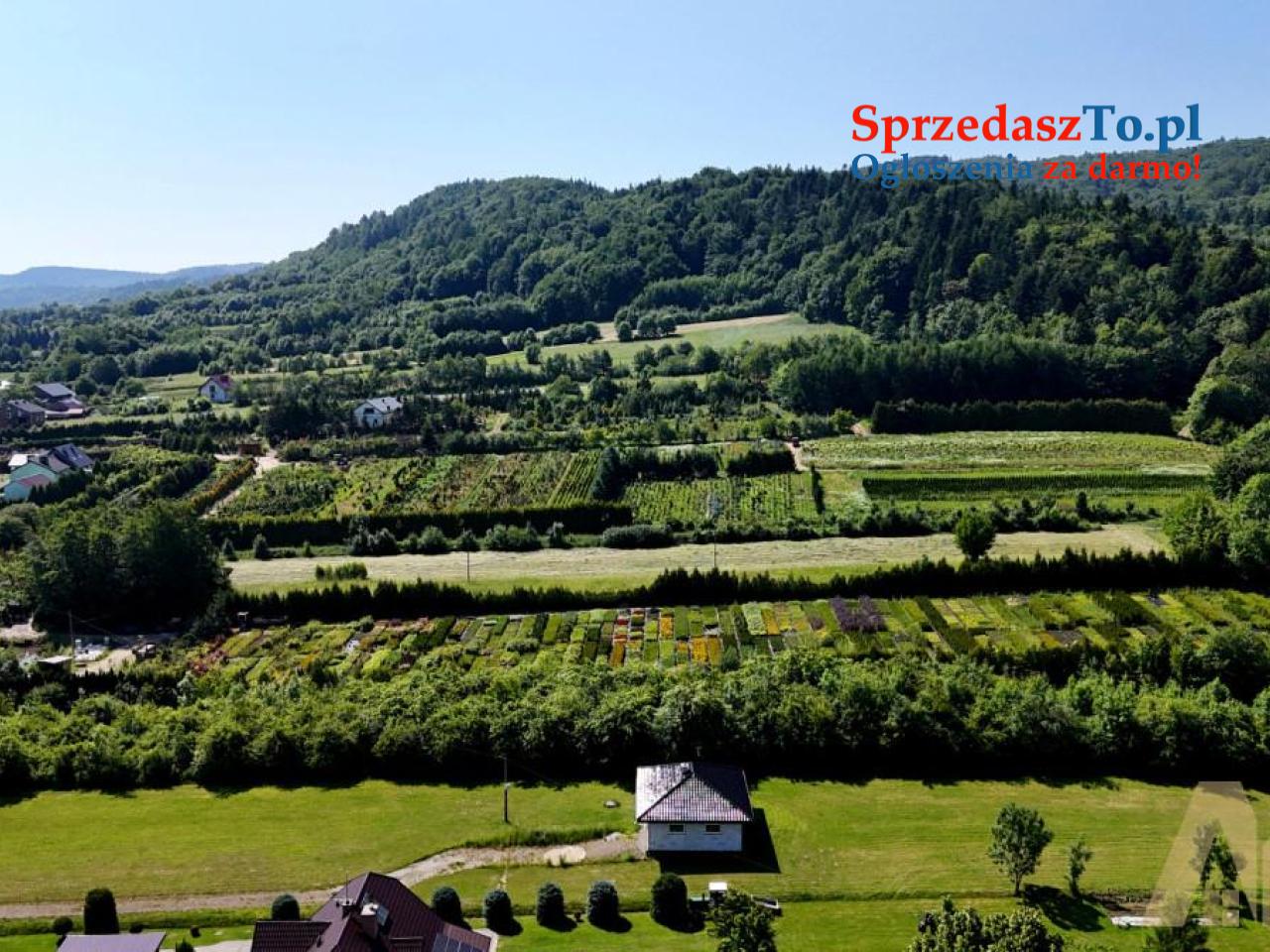 Działka 42 ary - Łysa Góra - 5/5