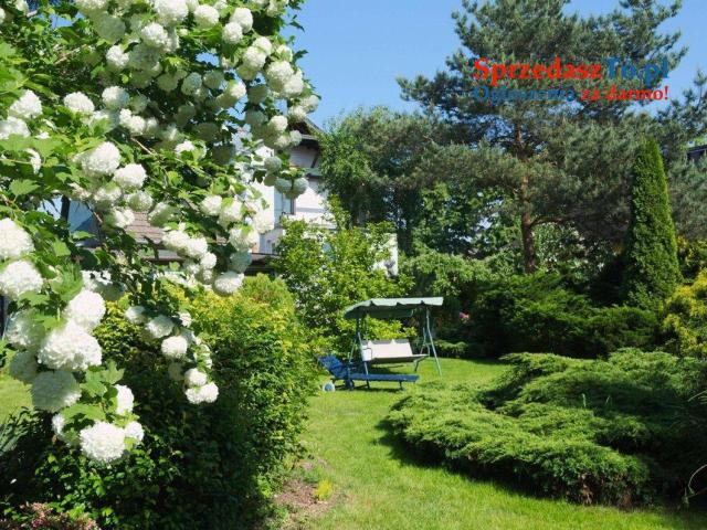 NIESTANDARDOWY DOM WOLNOSTOJĄCY - 9