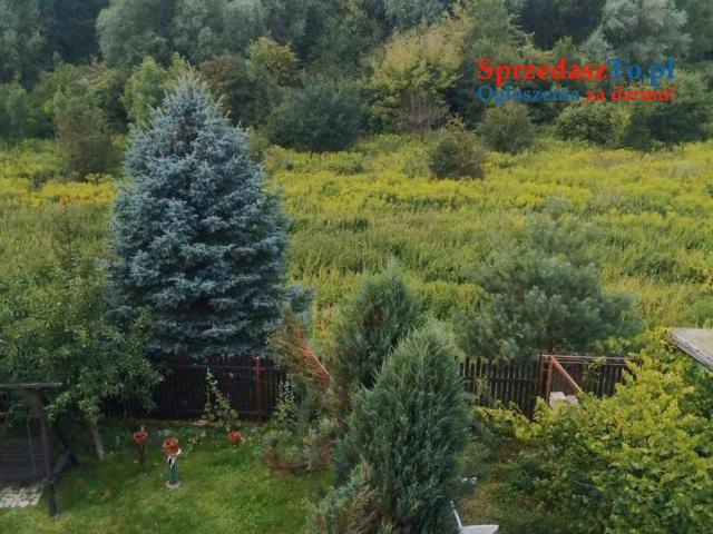 Sprzedam dom wolnostojący - 8