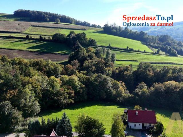 Działka rolno-budowlana pod lasem - 8