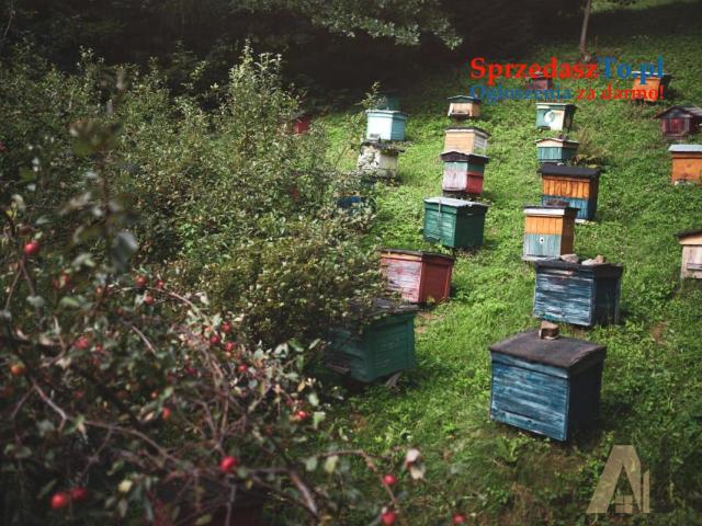 Dom w otulinie górskiej natury! - 8