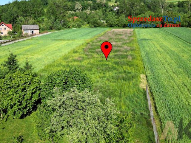 Dom na sprzedaż na 50 arowej działce - 6