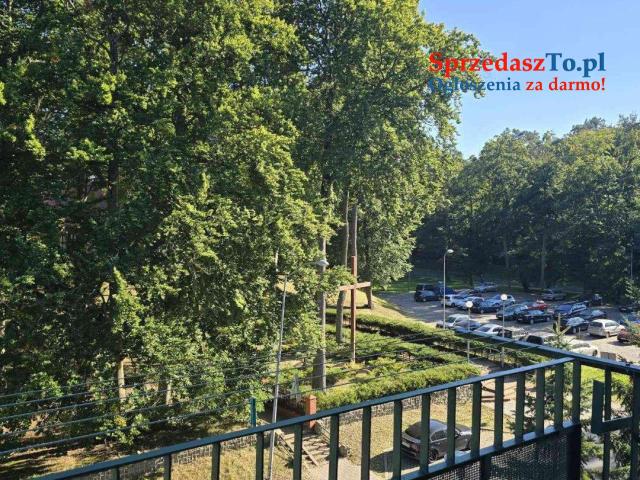 Mieszkanie Dwupokojowe - 11