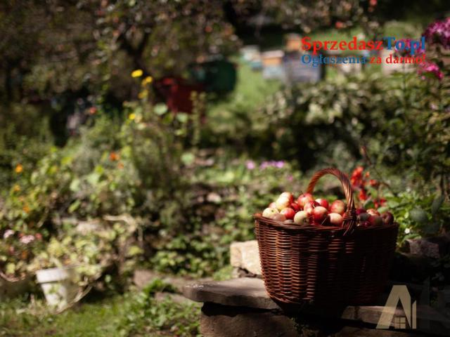 Wyjątkowy dom w Beskidzie Sądeckim - 14