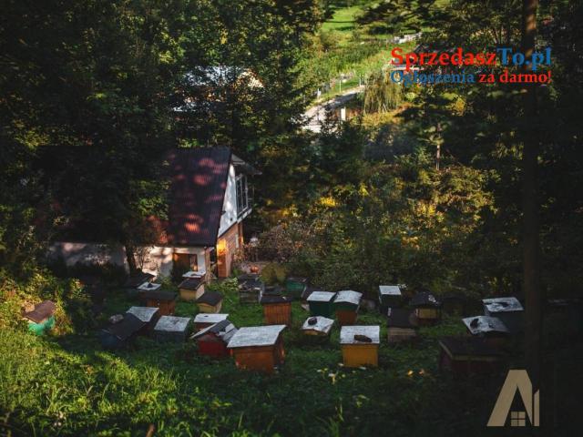 Wyjątkowy dom w Beskidzie Sądeckim - 17