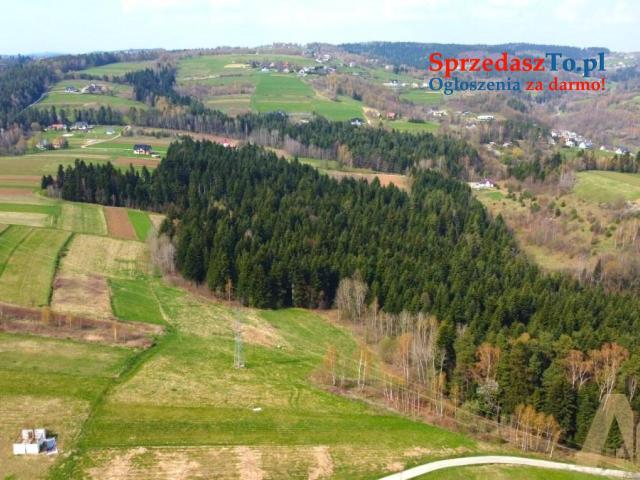 Działka widokowa w Paszynie - 6