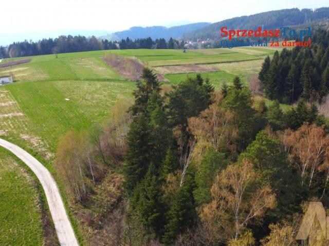 Działka widokowa w Paszynie - 7