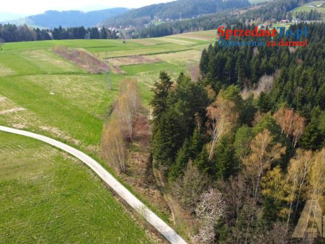 Działka widokowa w Paszynie - 8