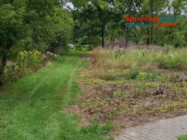 Sprzedam działkę w Suchodołach