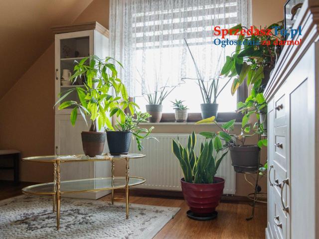 Okazała nieruchomość z potencjałem gospodarczym - 7