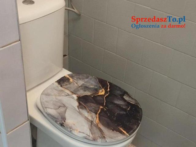 Wynajem kawalerki 2 pokoje