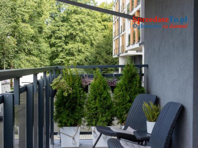 3 pokojowe mieszkanie na wynajem - 13