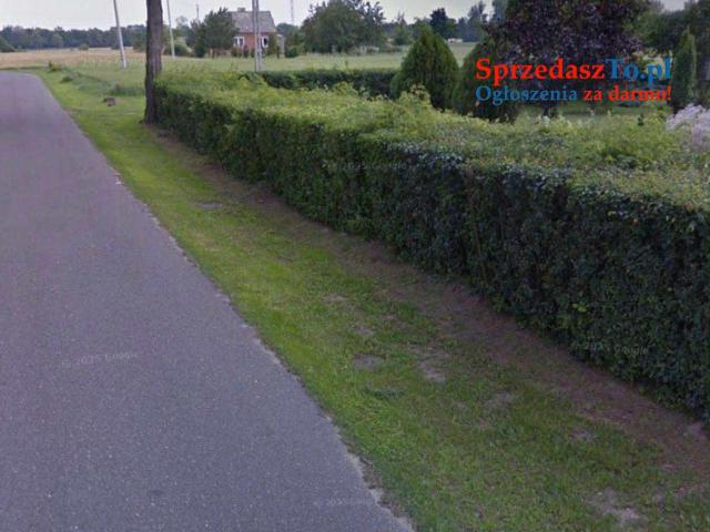 Nieruchomość Wola Koszucka-Parcele