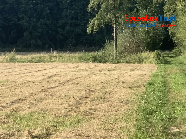 Sprzedam dużą działkę ze stawem
