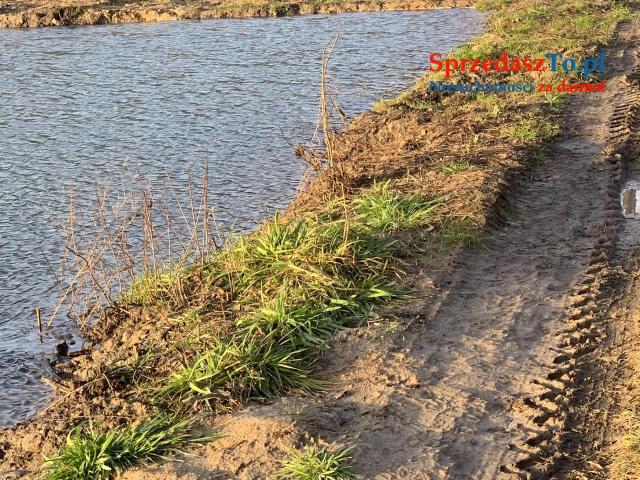 Sprzedam dużą działkę ze stawem - 6