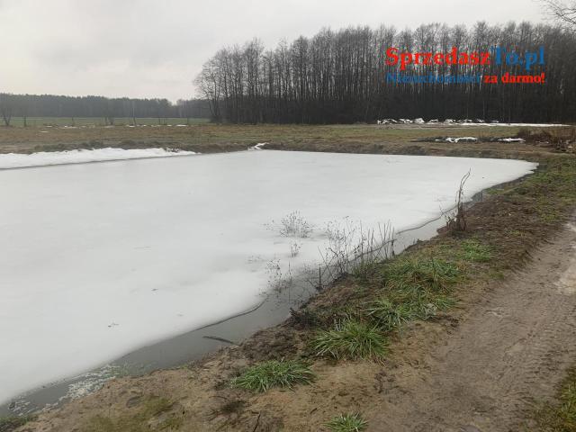 Sprzedam dużą działkę ze stawem - 8