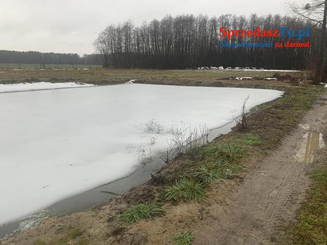 Sprzedam dużą działkę ze stawem - 9